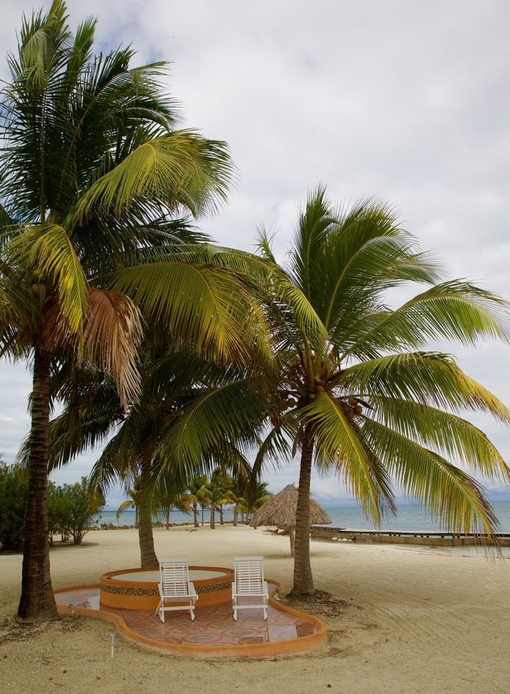 Royal Belize Hotell Thatch Caye Exteriör bild