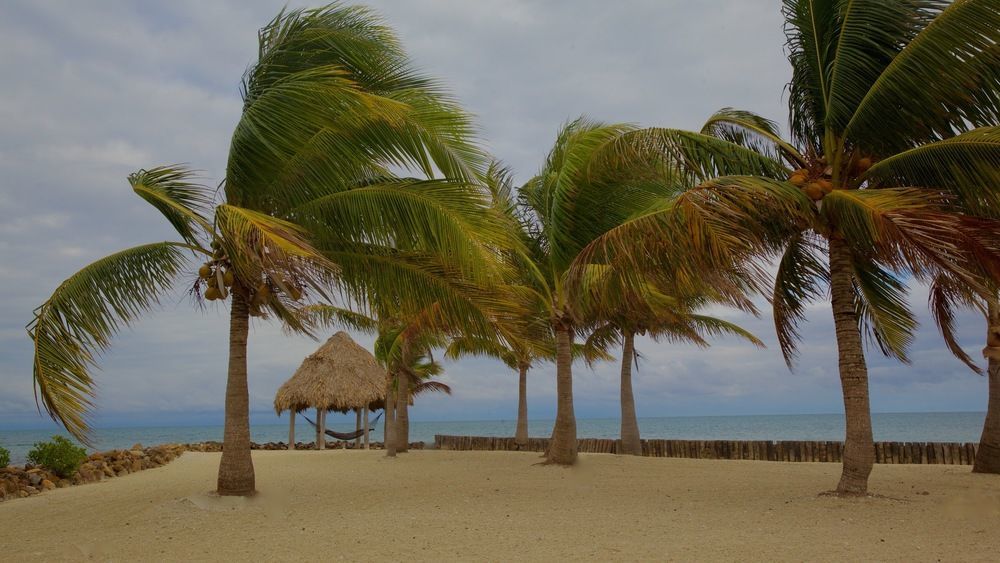 Royal Belize Hotell Thatch Caye Exteriör bild