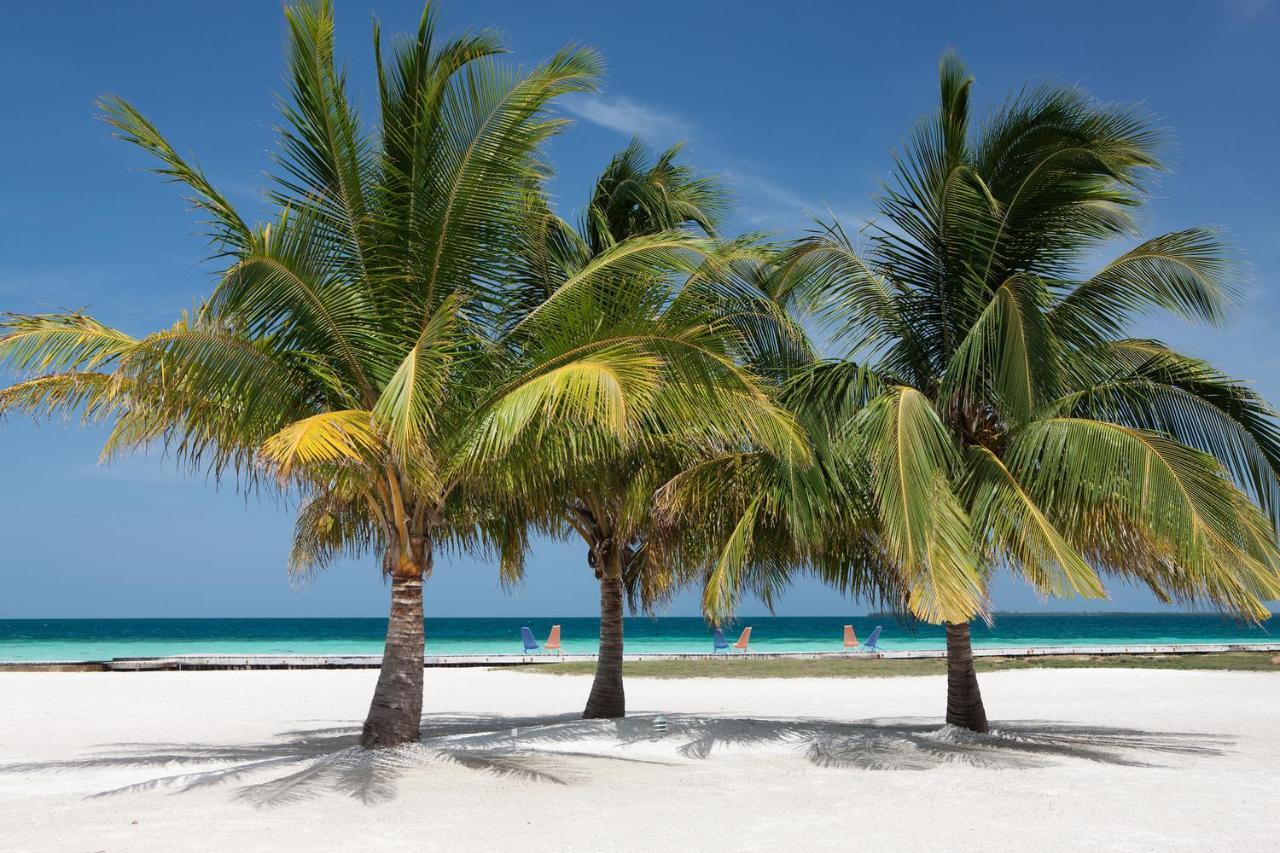 Royal Belize Hotell Thatch Caye Exteriör bild