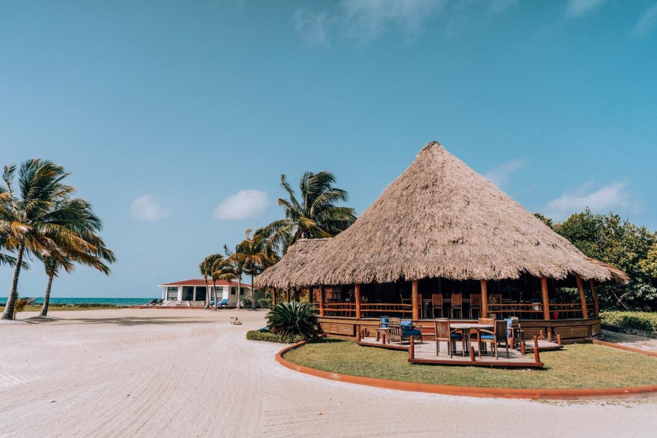 Royal Belize Hotell Thatch Caye Exteriör bild