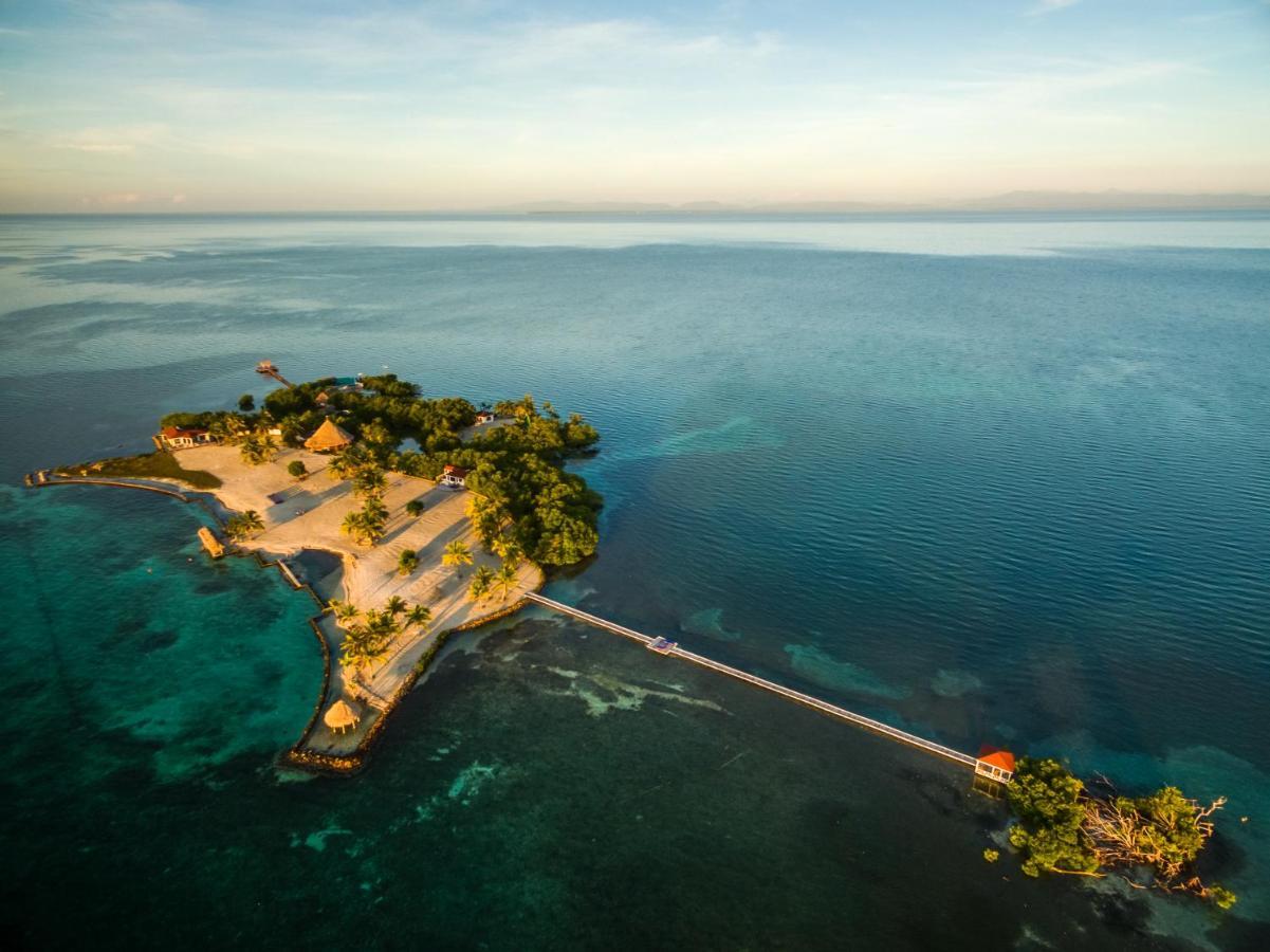 Royal Belize Hotell Thatch Caye Exteriör bild