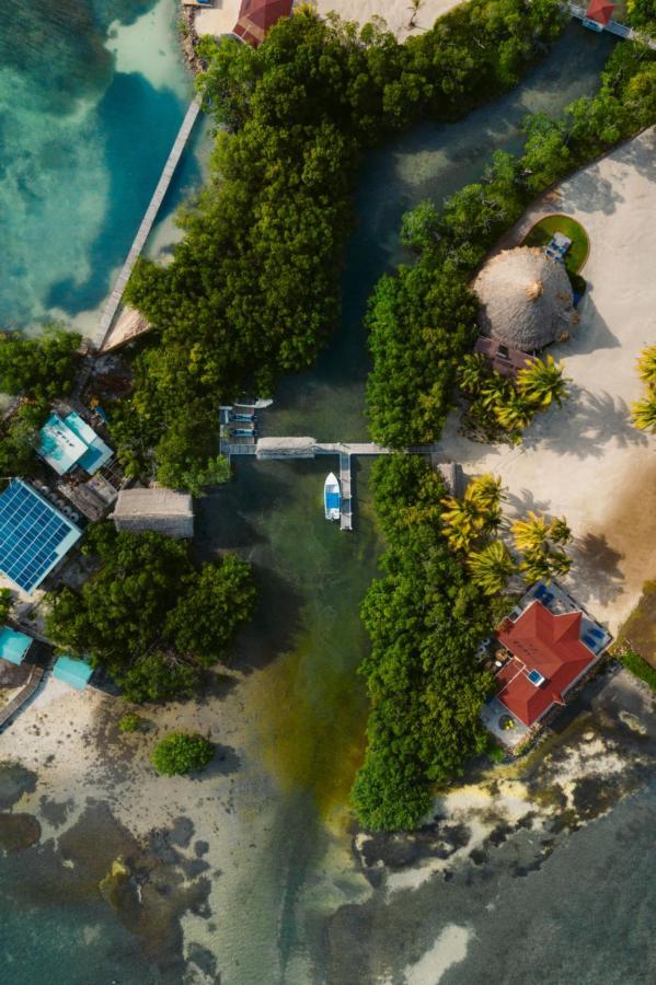 Royal Belize Hotell Thatch Caye Exteriör bild